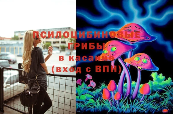 эйфоретик Вязники